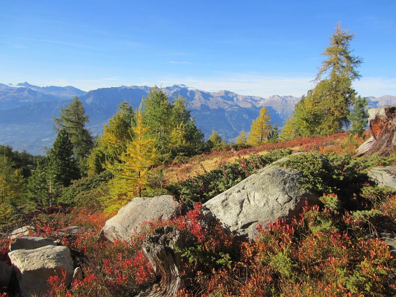 20121005_171300_L_Ar_du_Tsan 018.JPG